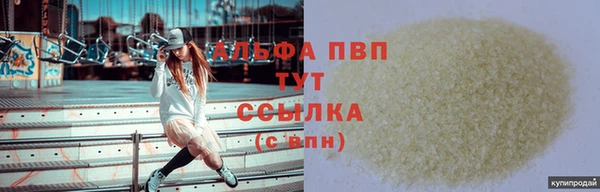 соль ск Ельня