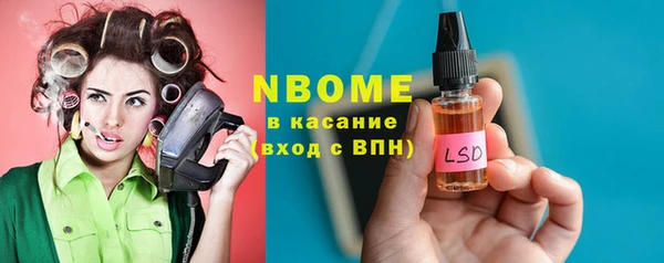 соль ск Ельня