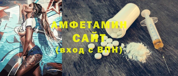 соль ск Ельня