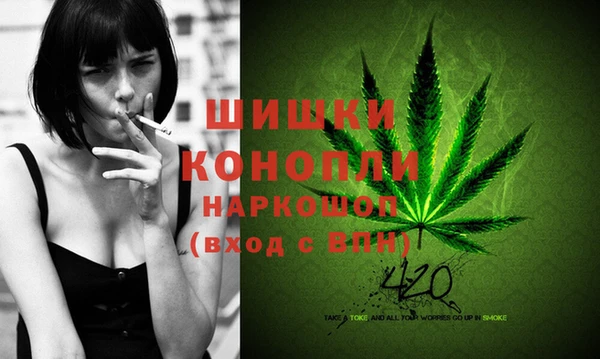 соль ск Ельня