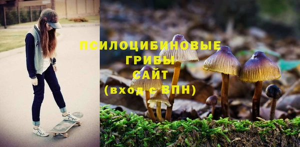 прущая мука Заводоуковск
