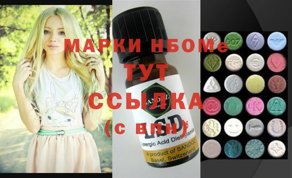 соль ск Ельня