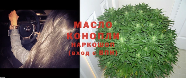 соль ск Ельня