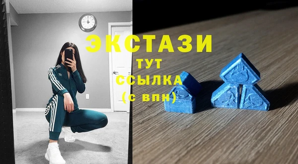 соль ск Ельня