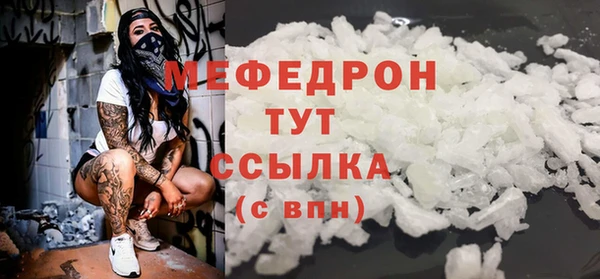 соль ск Ельня