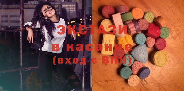 соль ск Ельня