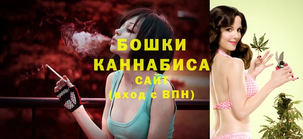 соль ск Ельня