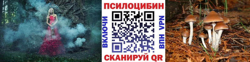 Псилоцибиновые грибы MAGIC MUSHROOMS  площадка формула  MEGA рабочий сайт  Цоци-Юрт  что такое наркотик 
