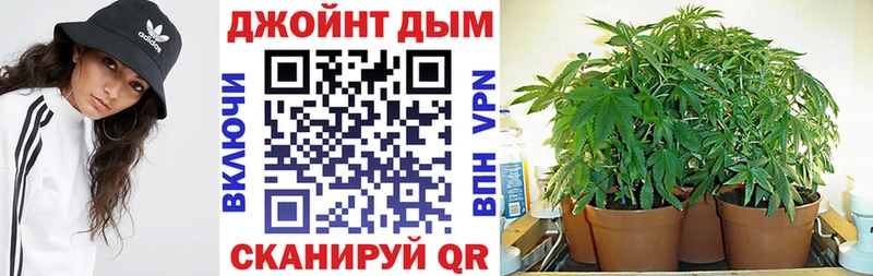 Марихуана планчик  Цоци-Юрт 